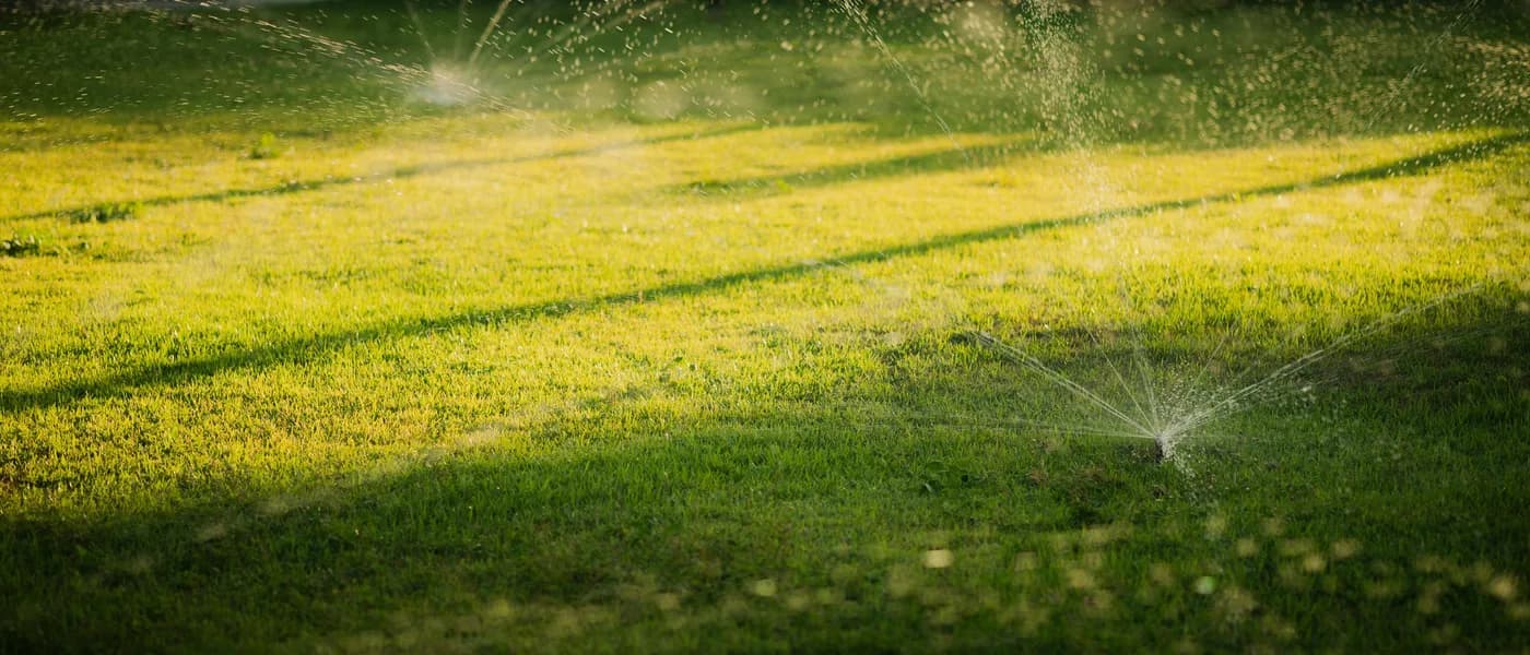Serviço de Irrigação da Alan Schurmann Paisagismo